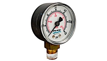 Pentair Bottom Mount Pressure Gauge | 15060-0000T