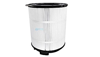 Sta-Rite DE Module 60 Sq Ft for S7MD60 Filter | 25023-0160S