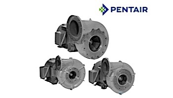 Pentair Berkley B-Series Centrifugal Commercial Pool Pump | 7.5HP 1800 RPM Flange 3 x 4"  3-Phase | B71945S