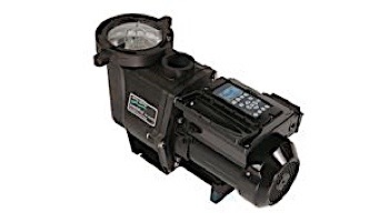 Sta-Rite IntelliPro 3HP Programmable Variable Speed Pool Pump | Time Clock Included | P6E6VS4H-209L
