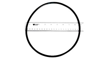 Pentair Seal Plate O-Ring | U9-373 U9-373Z