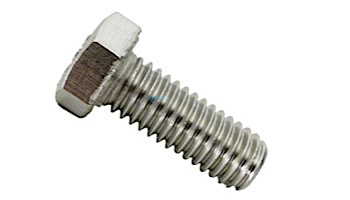 Pentair Hex Head Cap Screw | 3/8-16 x 1" | Stainless Steel | U30-74SS