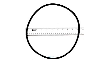 Pentair Seal Plate O-Ring | U9-228A U9-228AZ