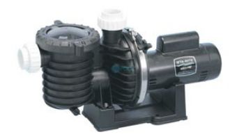 Sta-Rite Industries FPT20510 Pool Pump 1HP 2Speed Sta-Rite Industries FPT20510 Pool Pump 1HP 2Speed
