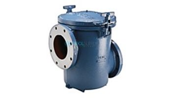 Pentair CSP Strainer with Basket | PKG 184