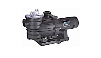 Sta-Rite Dyna-Glas Uprated Pool Pump | .75HP 115V/230V | MPRA6D-146L