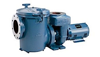 Sta-Rite CCSP Series 7.5HP Nema 3-Phase Epoxy Coated Cast Iron Pool Pump Without Strainer | 230-460V | CCSPHK3-142