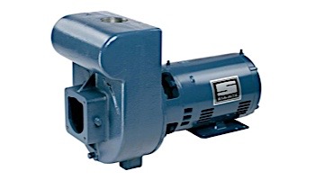 Sta-Rite D-Series 5HP Standard Efficiency Single Phase Commercial Pool Pump 230V | DMJ-172