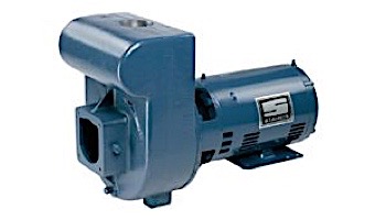 Sta-Rite D-Series 3HP Standard Efficiency Single Phase Commercial Pool Pump 230V | DMH-171