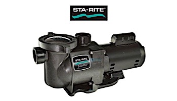 Sta-Rite SuperMax 1HP Energy Efficient 2-Speed Pool Pump 230V | PHK2RAY6E-102L