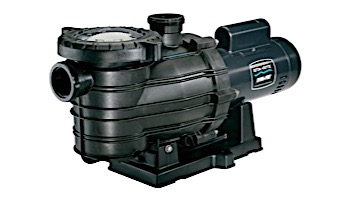 Sta-Rite Dyna-Pro E .75HP Standard Efficiency Pool Pump Up Rated 115V 230V | MPRA6D-204L