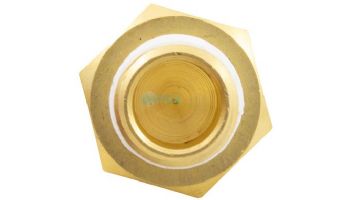 Pentair 140 Degree Taped Automatic Gas Shut-Off Switch | 42002-0025S