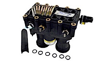 Pentair MasterTemp Heater Manifold Assembly | 77707-0015