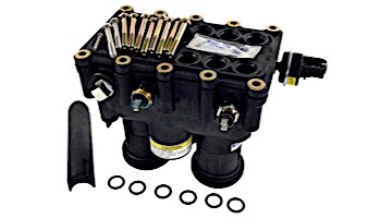 Pentair MasterTemp & Sta-Rite Max-E-Therm Heater Manifold Assembly 175NA 175LP 200NA 200LP Models | 77707-0014