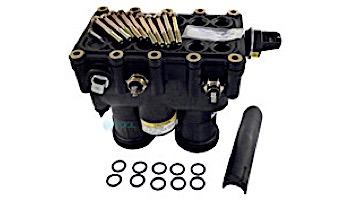 Pentair MasterTemp & Sta-Rite Max-E-Therm Heater Manifold Assembly 175NA 175LP 200NA 200LP Models | 77707-0014