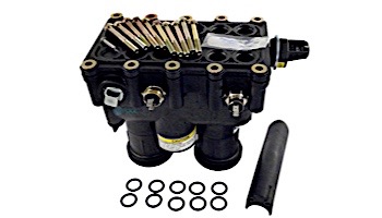 Pentair MasterTemp Heater Manifold Assembly | 77707-0015