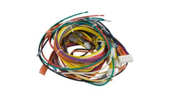 Pentair MasterTemp Max-E Therm Wiring Harness | 42001-0104S | 461107