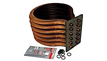 Pentair MasterTemp & Sta-Rite Max-E-Therm Tube Sheet Coil Assembly Kit | Models 200NA & 200LP | Prior to 1-12-09 | 77707-0232