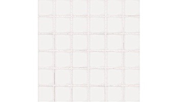 National Pool Tile Unglazed 1x1 Series | White / Biscuit | 0A1311GMS1P