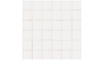 National Pool Tile Unglazed 1x1 Series | White / Biscuit  | 0A1311GMS1P