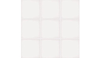 National Pool Tile Unglazed 2x2 Series #A34 | Raven Black | 0A3422GMS1P