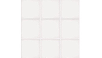 National Pool Tile Unglazed 2x2 Series #A13 | White / Biscuit | 0A1322GMS1P