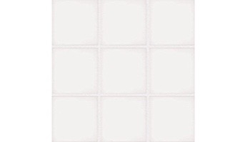 National Pool Tile Unglazed 2x2 Series #A13 | White / Biscuit | 0A1322GMS1P
