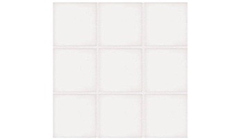 National Pool Tile Unglazed 2x2 Series #A13 | White / Biscuit | 0A1322GMS1P