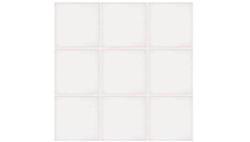 National Pool Tile Unglazed 2x2 Series #A13 | White / Biscuit | 0A1322GMS1P