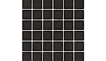 National Pool Tile Unglazed 1x1 Series | Raven Black | 0A3411GMS1P