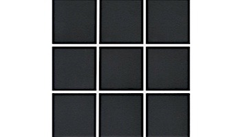 National Pool Tile Unglazed 2x2 Series #A34 | Raven Black | 0A3422GMS1P