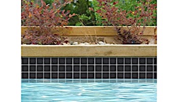National Pool Tile Unglazed 2x2 Series #A34 | Raven Black | 0A3422GMS1P