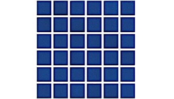 National Pool Tile Unglazed 1x1 Series | Raven Black | 0A3411GMS1P