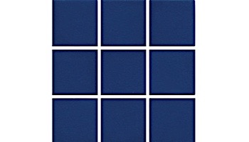 National Pool Tile Unglazed 2x2 Series #R08 | Sapphire Sky | 0R0822GMS1P