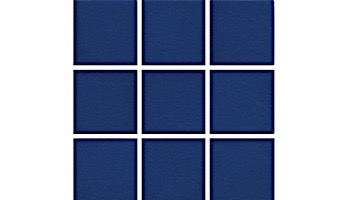 National Pool Tile Unglazed 2x2 Series #A34 | Raven Black | 0A3422GMS1P