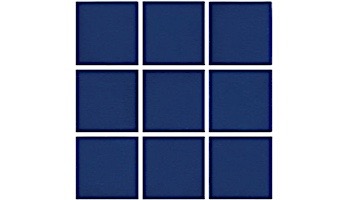 National Pool Tile Unglazed 2x2 Series #R08 | Sapphire Sky | 0R0822GMS1P