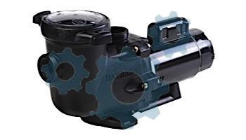 Hayward TriStar High Performance Single Speed Pool Pump | 2HP Max Rate 115/230V | SP3215X20 loading=