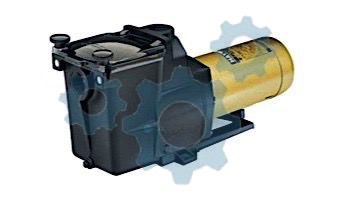 Hayward Super Pump | 2.5HP Uprated 230V | SP2621X25 loading=