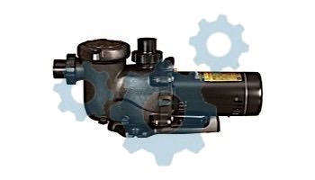 Hayward Max-Flo XL Single Speed Pool Pump | 1.5HP 115V 230V | SP2310X15 loading=