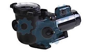 Hayward Tristar High Performance 2-Speed Pool Pump | 1.5HP Max Rate 115/230V | SP3210X152