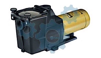 Hayward Super Pump 2-Speed with Switch | 1HP 230V | SP2607X102S