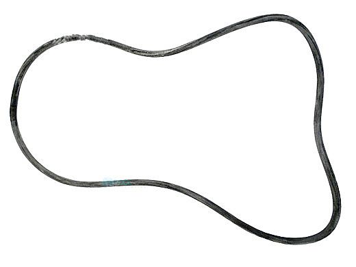 Pentair O-Ring | 24700-0072