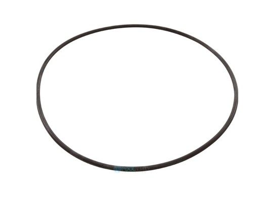 Jandy Backplate O-Ring | R0446300