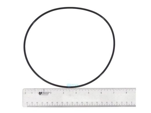Waterways Executive Wet End Volute O-Ring | 805-0261
