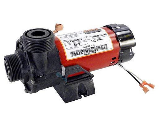 Waterway Tiny Might Circulation Pump | 0.0625HP 230V Threaded | 3312620-14