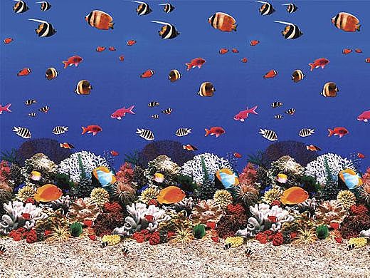Ocean Reef 10x15' Oval Standard Gauge Unibead 48-52" Tall Liner | LI1015CFU