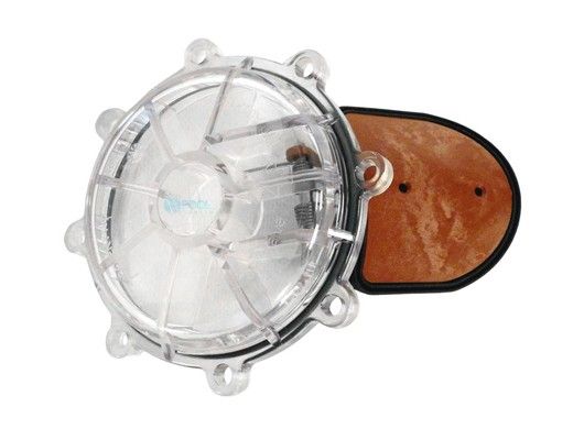 Jandy Large Check Valve Cover with Flapper Assembly | R0466000