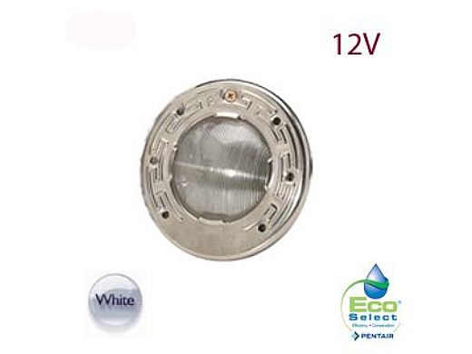 Pentair Intellibrite 5G WHITE Spa Light | 12V LED 100W 100' Cord | 640083 640152
