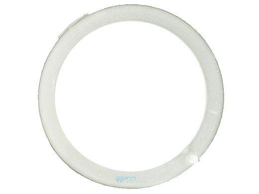 Waterway Plastics Beveled Gasket 2.5" | 711-4200