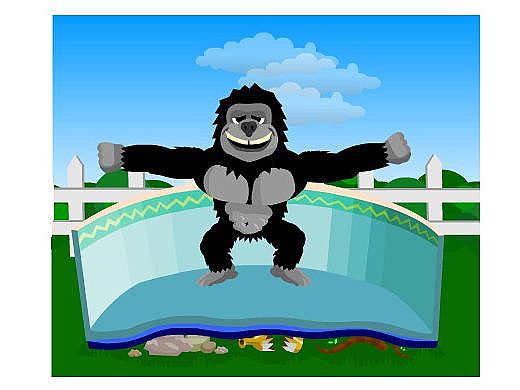 Gorilla Floor Padding 16'X32' Oval | NL133